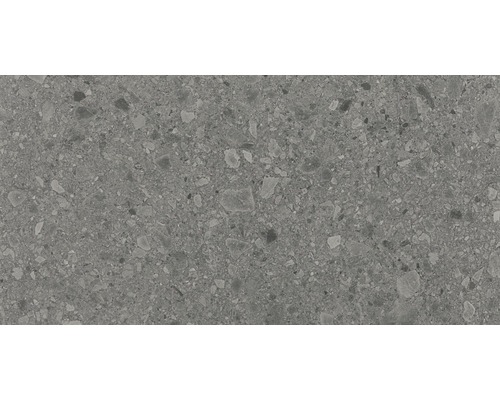 Klinker Terrazzo Donau grå matt 60x120 cm rektifierad 88189
