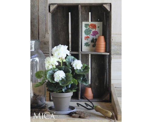 Dekorativ scen med vitblommande växt i kruka, träbricka och trädgårdsredskap