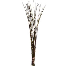 Bukett med blommande grenar