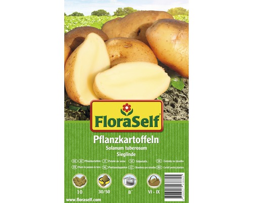 Sättpotatis FLORASELF Solanum tuberosum Sieglinde 10st FloraSelf sättpotatis, sort Sieglinde, förpackning