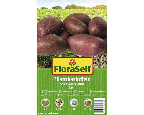 Sättpotatis FLORASELF Solanum tuberosum Birgit 10st FloraSelf sättpotatis Birgit, Solanum tuberosum
