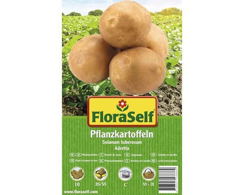 Sättpotatis FLORASELF Solanum tuberosum Adretta 10st