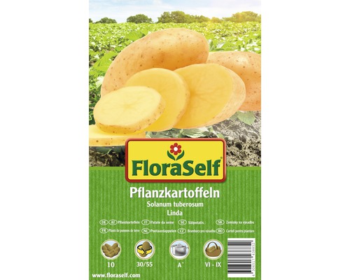 Sättpotatis FLORASELF Solanum tuberosum Linda 10st Sättpotatis FloraSelf av sorten Linda