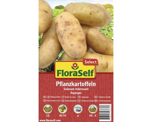 Sättpotatis FLORASELF Solanum tuberosum Asparges 10st FloraSelf Sätpotatis Asparges
