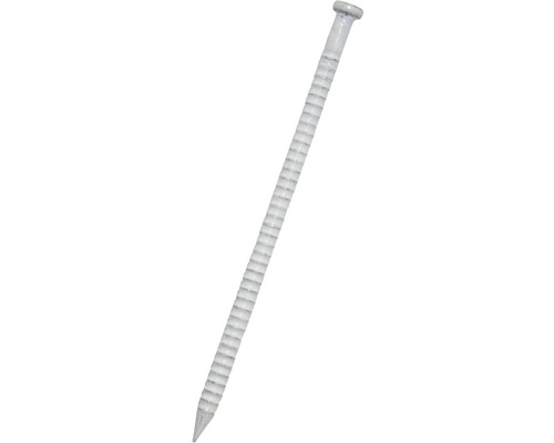 Sockelspik DRESSELHAUS 1,6x26mm vit 140-pack En enda spik med räfflat skaft.