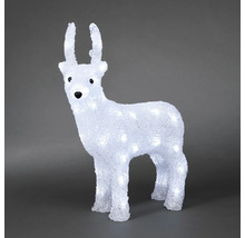 Lysande dekorativ ren för inomhus- och utomhusbruk