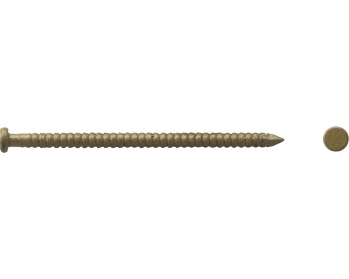 Sockelspik DRESSELHAUS 1,6x26mm beige 140-pack Träskruv med linshuvud och gänga