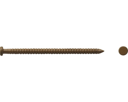 Sockelspik DRESSELHAUS 1,6x26mm ljusbrun 140-pack Träskruv med försänkt huvud