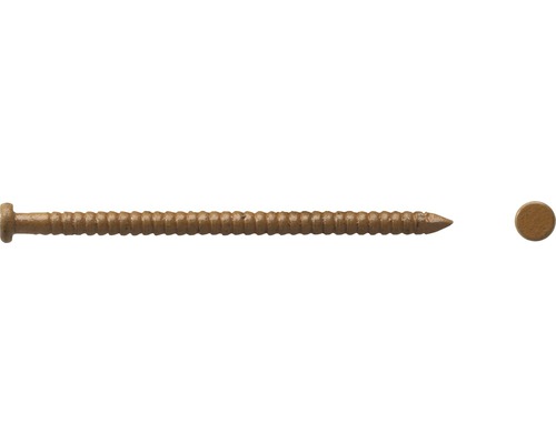 Sockelspik DRESSELHAUS 1,6x26mm brun 140-pack Träskruv med linshuvud