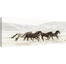 Canvastavla Mustangs 60x150cm-thumb-0