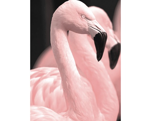 Poster Pink Flamingo 2 30x40cm