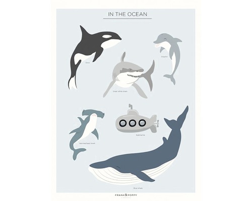Poster Frank & Poppy In the Ocean 30x40cm