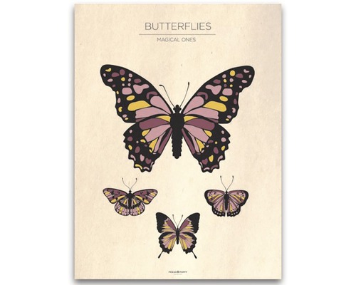 Poster Frank&Poppy Butterflies V 40x50 cm