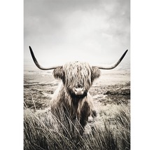Poster Nature Highland Cattle 30x40cm-thumb-0