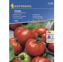 Kiepenkerl Cindel fröpaket för salladstomater