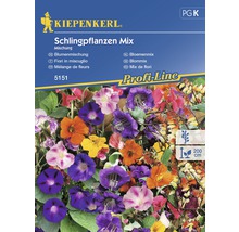 Blomfrö KIEPENKERL Klätterväxtmix-thumb-0