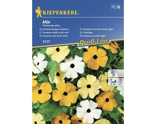 Blomfrö KIEPENKERL Thunbergia mix