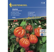 Kiepenkerl Aurea Bifftomatfröer