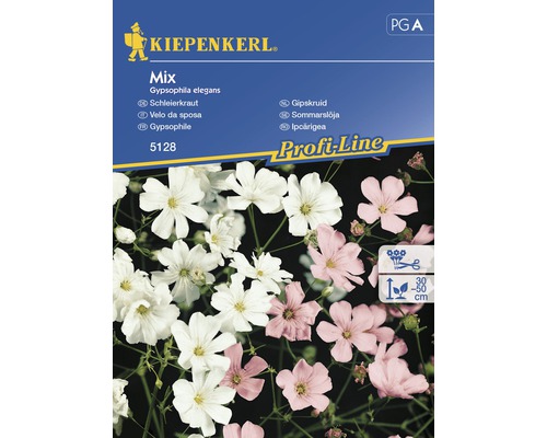 Blomfrö KIEPENKERL Gypsophila mix