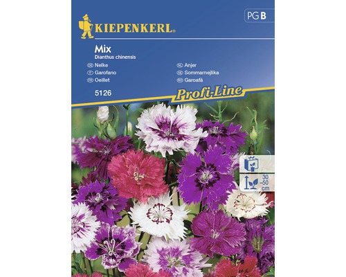 Blomfrö KIEPENKERL Dianthus mix