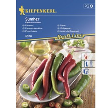 Kiepenkerl Sumher Pepparfrön
