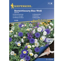 Blomfrö KIEPENKERL Blommix vit/blå-thumb-0