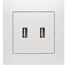 Dubbelt USB-uttag för väggmontering