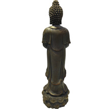 Baksida av en Buddhastaty