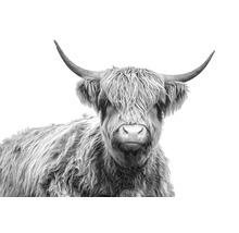 Canvastavla THE WALL Highlands 100x150cm-thumb-0 Canvastavla THE WALL Highlands 100x150cm-thumb-0