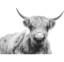 Canvastavla THE WALL Highlands 100x150cm-thumb-1 Canvastavla THE WALL Highlands 100x150cm-thumb-1