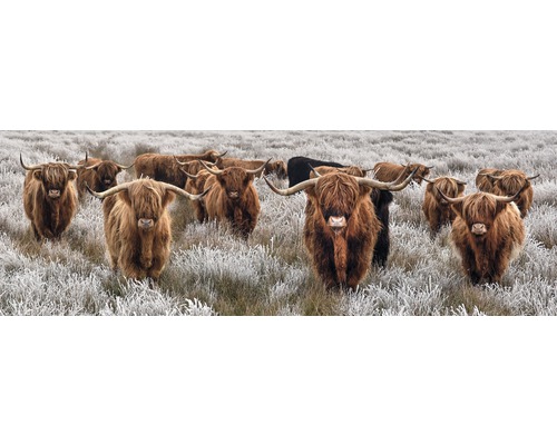 Canvastavla THE WALL Buffalo herd 150x50cm