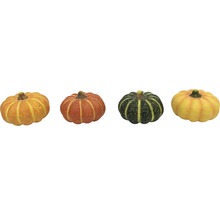 Fyra dekorativa pumpor