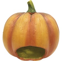 Dekorativt pumpagrotta som höstdekoration