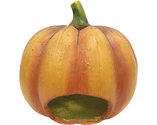 Dekorativt pumpagrotta som höstdekoration