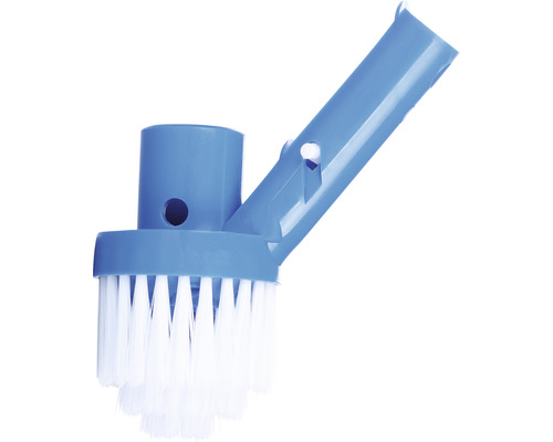 Poolborsthuvud med borst