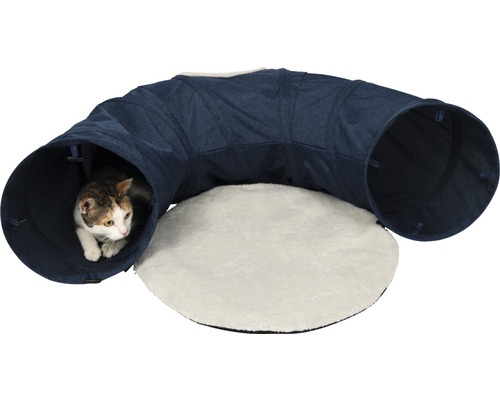 Katt i kattunnel med liggyta