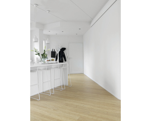 Ljust rum med laminatgolv, köksbar med barstolar och garderob
