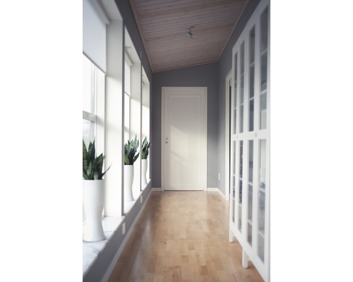 Hall med trägolv, krukväxter i krukor vid fönstret och en vit dörr