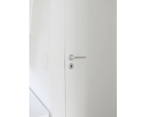 Vit innerdörr med dörrhandtag