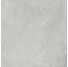 Grå golvplatta av porslinsstengods