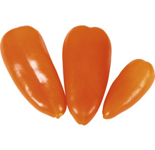 Tre grönsakspaprikor