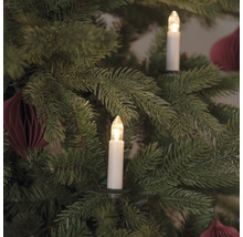 Julgran med LED-ljus