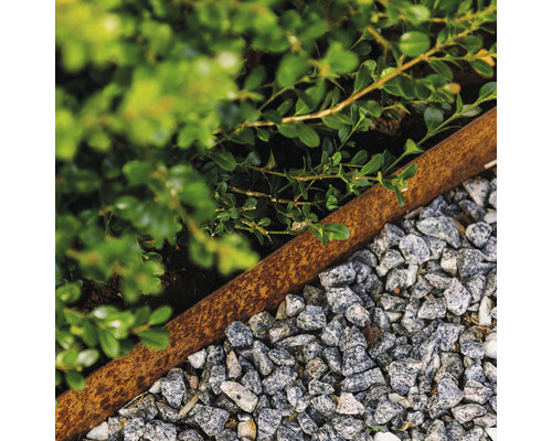 Trädgård med växter, gräsmattskant av metall och grus