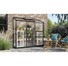 Växthus VITAVIA Ida 1300 193x69cm svart 4mm polykarbonat