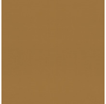 Tapet RASCH Tropical House Rhapsody enfärgad brun 10,05x0,53m