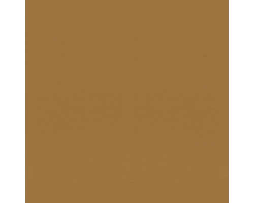 Tapet RASCH Tropical House Rhapsody enfärgad brun 10,05x0,53m Enfärgad bakgrund