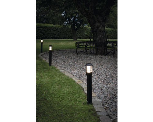 Upplyst trädgård med flera pollare längs en grusgång