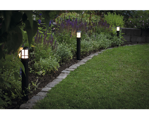 Upplyst trädgård med gångljus längs en gräsmatta
