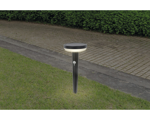 Solarlampa med rörelsesensor i trädgården.