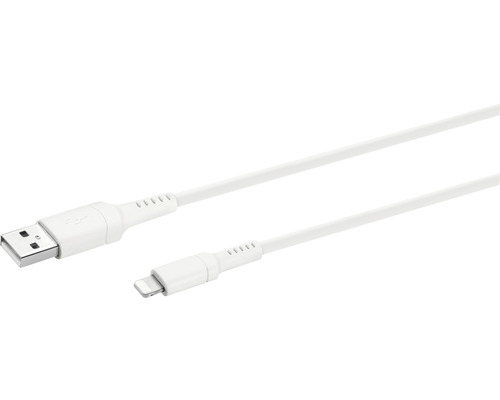 USB till Lightning laddningskabel